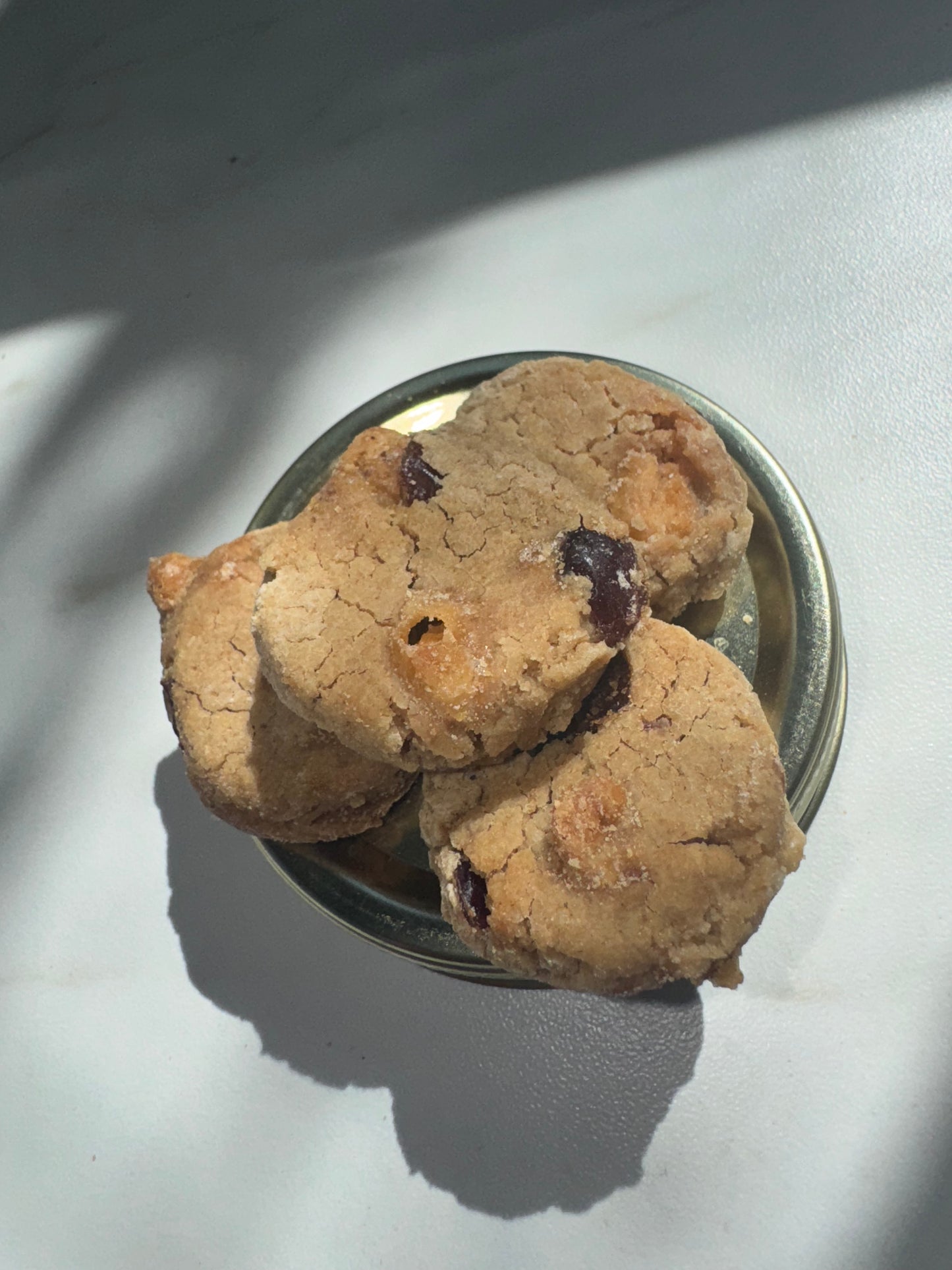 Cranberry White Chocolate Goodies